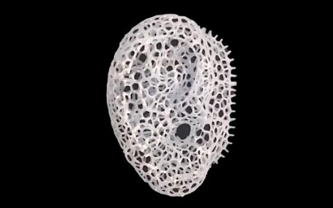 極光創(chuàng)新：科學家開發(fā)新3D打印方法使骨修復支架植入更快